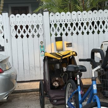 Eaton Bikes - My sweet baby in the carrier, ready for a bike ride in KW! - Bike Rentals Near Me - Key West, Florida Eaton Bikes - My sweet baby in the carrier, ready for a bike ride in KW! - Bike Rentals Near Me - Key West, Florida