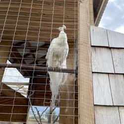 Kangaroo Creek Farm