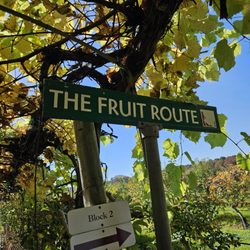 Lookout Farm Brewing & Cider