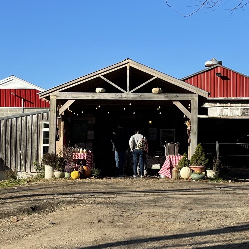 Cato Corner Farm - The Farm Shop - Specialty Food Near Me - Colchester, Connecticut Cato Corner Farm - The Farm Shop - Specialty Food Near Me - Colchester, Connecticut