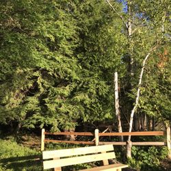 Mount Minnie Nature Preserve - Bench at end of trail to the lake
