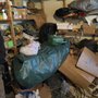 Photo of Level Higher Hauling & Junk Removal