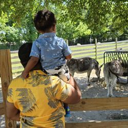 Bluebird Gap Farm