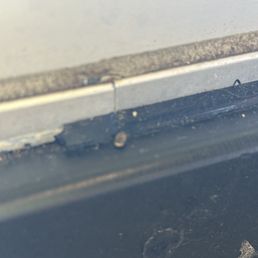 Dead bug on window ledge next to table Dead bug on window ledge next to table