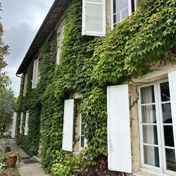 Chateau Mauvinon