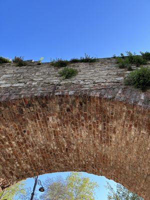 Gülhane Park by null