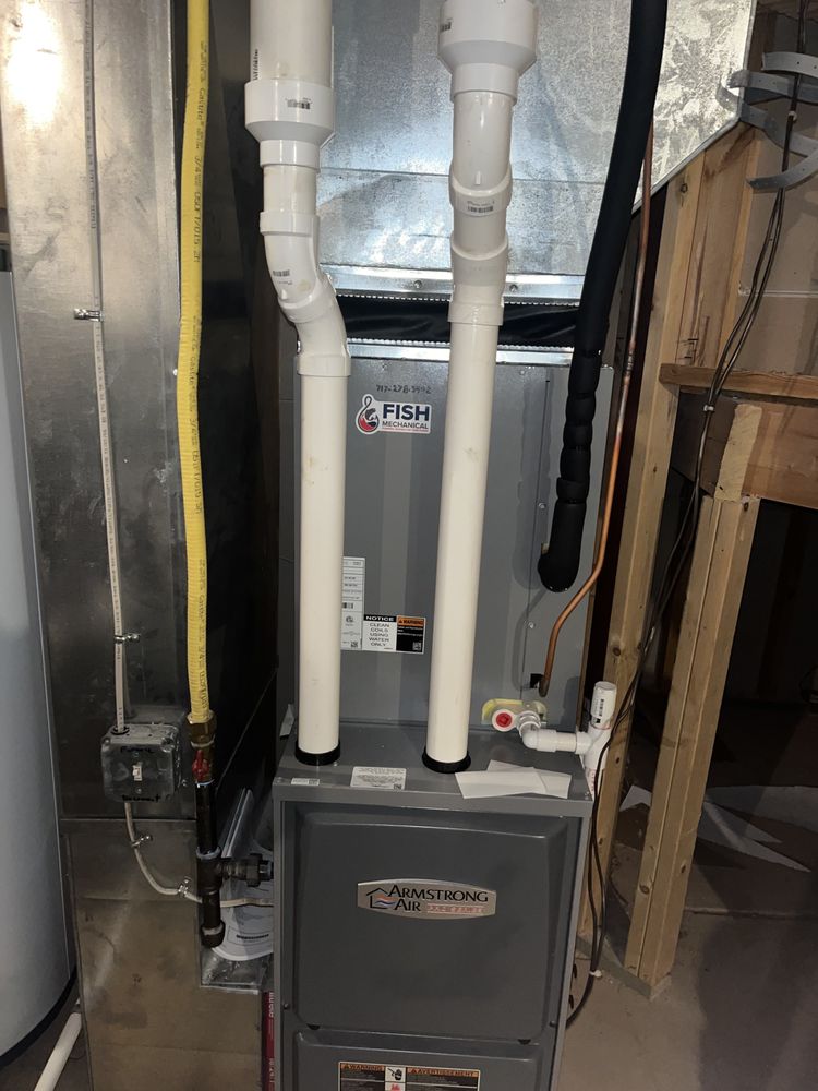 Slide of Fish Mechanical