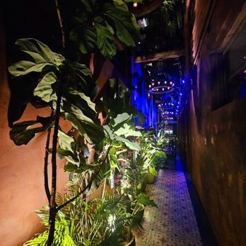 Chica Miami - Path to outdoor dining - Latin American Near Me - Miami, Florida