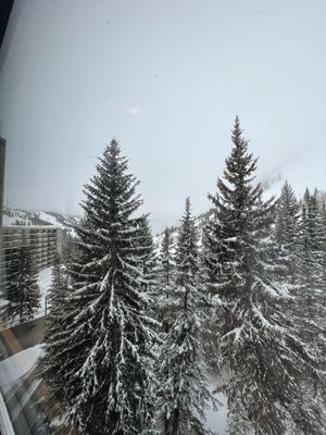 The Cliff Spa by null