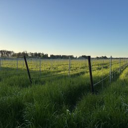 Open fields behind campground