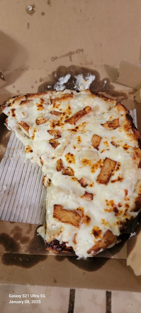 Domino's Pizza Logo