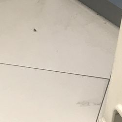 Sherif Z Khamis, MD - Exam room roach