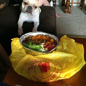 The Halal Guys - Jameson drooling over my food.. - Halal Near Me - Costa Mesa, California The Halal Guys - Jameson drooling over my food.. - Halal Near Me - Costa Mesa, California