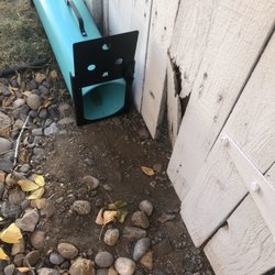 Sierra Wildlife Control - Skunk trap southwest Reno