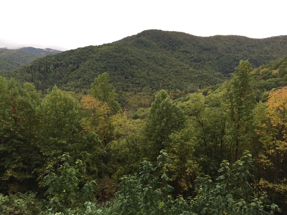 THE SABBATH HOUSE Updated September 2024 750 Bee Branch Rd, Bryson