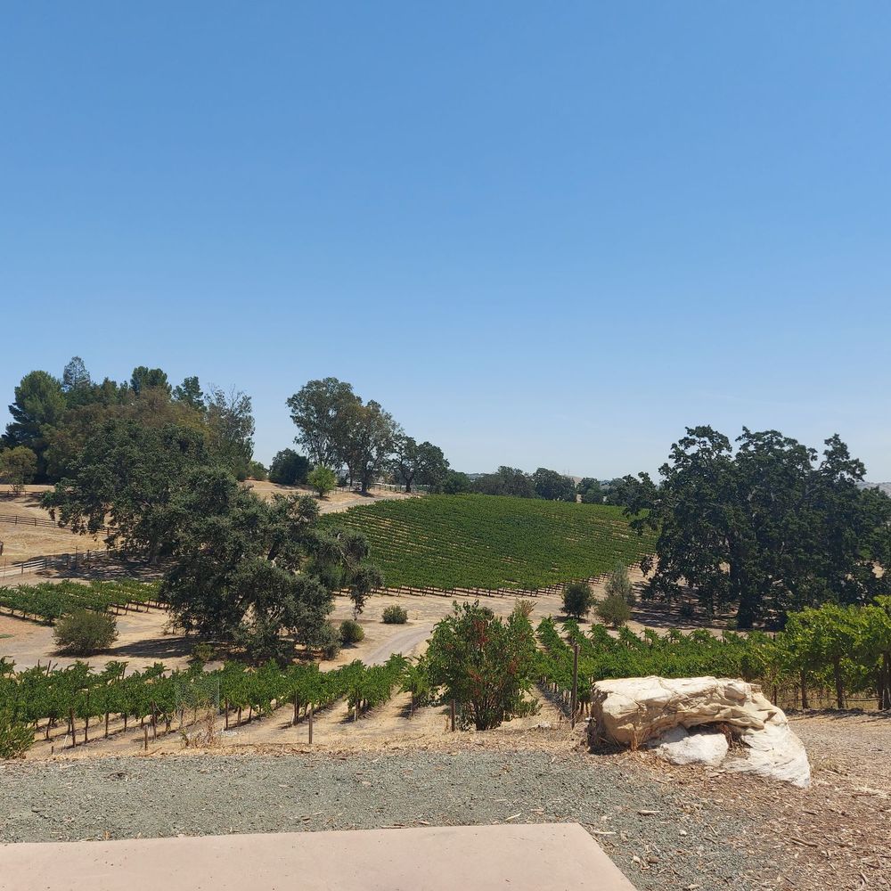 Castoro Cellars - Wineries Near Me - Templeton, California Castoro Cellars - Wineries Near Me - Templeton, California
