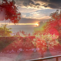 Le panorama