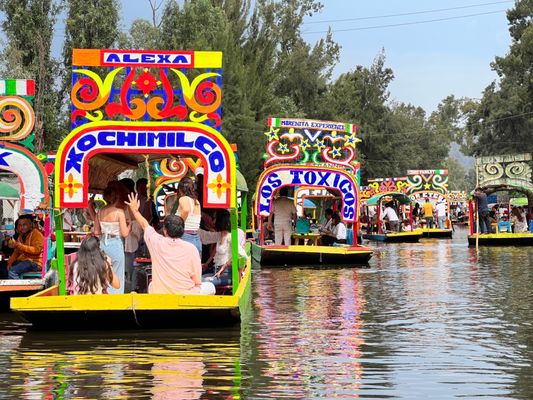 Parque Ecológico de Xochimilco by null