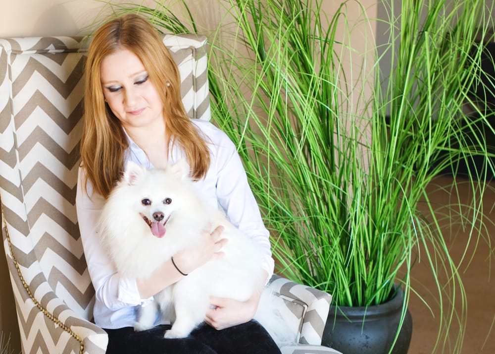 SUITE DREAMS LUXURY DOG BOARDING Updated August 2024 15 Photos