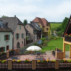 Vins Sipp Mack - Guest terrace and gardens
