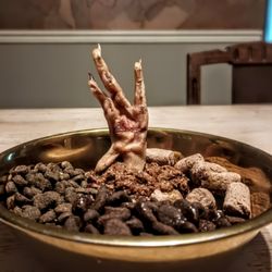 Paws Stop - Feed real foods!