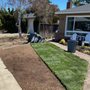 Photo of Ambient Green Lawn