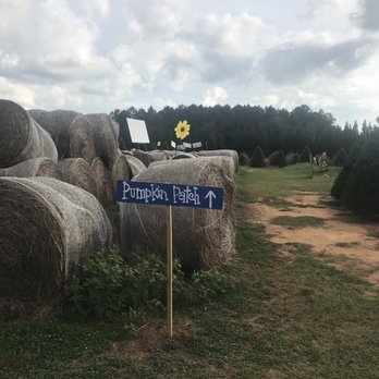 Yule Forest - Kids Activities Near Me - Stockbridge, Georgia