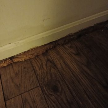 Next Day Floors - How disgusting to use this fake wood along the wood floor installed in foyer! - Carpeting Near Me - Glen Burnie, Maryland Next Day Floors - How disgusting to use this fake wood along the wood floor installed in foyer! - Carpeting Near Me - Glen Burnie, Maryland