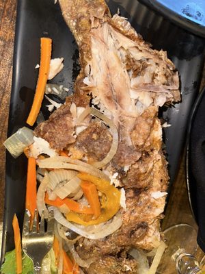 The Island Spot by null