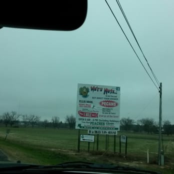 Ellis Bros Pecans - Sign leading the way... - Specialty Food Near Me - Vienna, Georgia