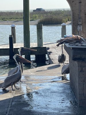 Goose Island State Park by null