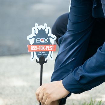 Fox Pest Control - Lubbock - Pest Control Near Me - Lubbock, Texas Fox Pest Control - Lubbock - Pest Control Near Me - Lubbock, Texas