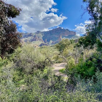 Boyce Thompson Arboretum - Botanical Gardens Near Me - Superior, Arizona Boyce Thompson Arboretum - Botanical Gardens Near Me - Superior, Arizona