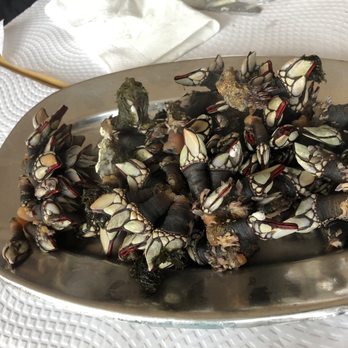 Restaurante da Adraga - Seafood Near Me - Sintra, 11 Restaurante da Adraga - Seafood Near Me - Sintra, 11