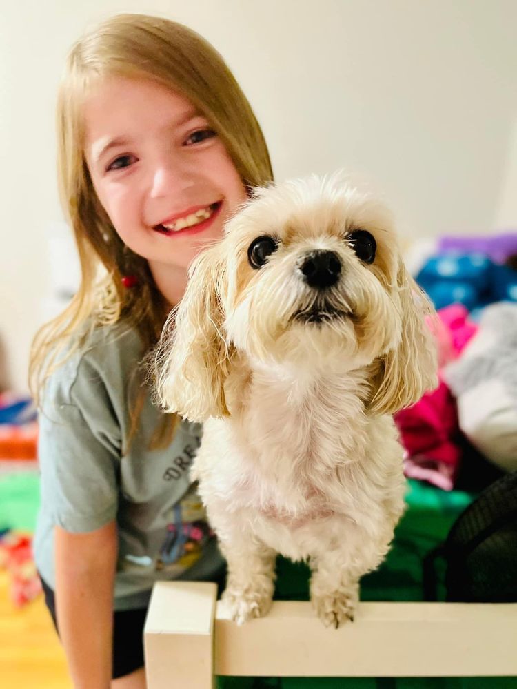 FURever Together - pet boarding facility in Colorado Springs, CO