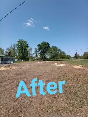 Tree removal - Call for free estimate!!!      big oak trees removed.