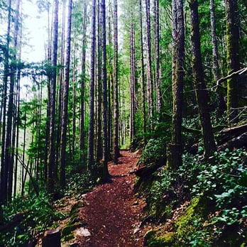 Rattlesnake Ledge Trail - Hiking Near Me Rattlesnake Ledge Trail - Hiking Near Me