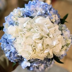 Posies by Gigi