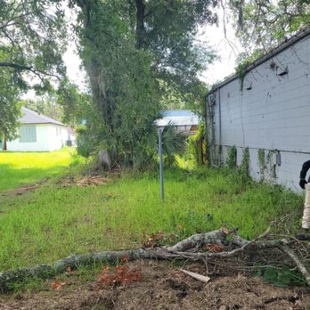 Ottos Tree Service - Before land clearing - Tree Services Near Me