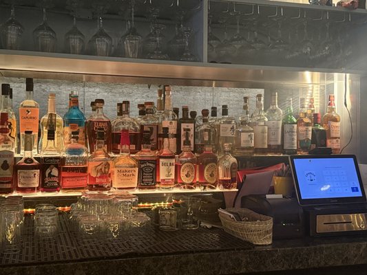 Condesa Phoenix by null