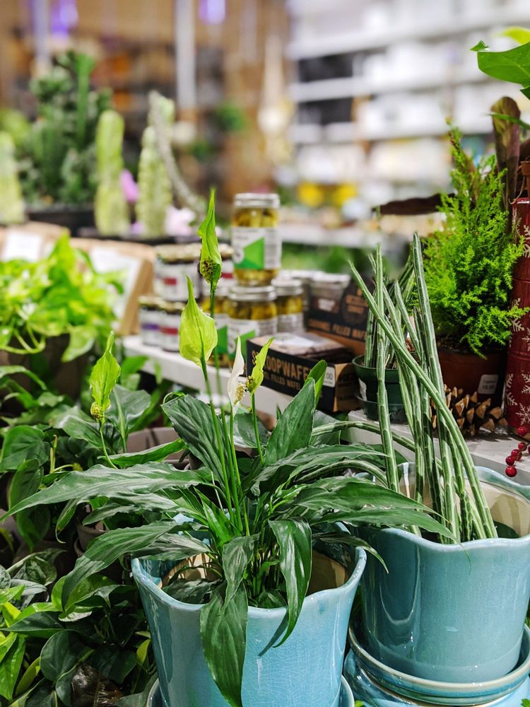 THE GARDEN BARN 25 Photos & 10 Reviews 77750 Gallatin Rd, Bozeman