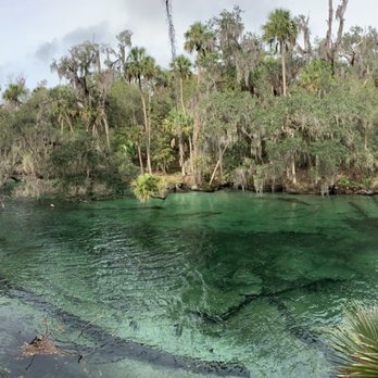 Blue Spring State Park - Panoramic view of the water - Parks Near Me - Orange City, Florida Blue Spring State Park - Panoramic view of the water - Parks Near Me - Orange City, Florida