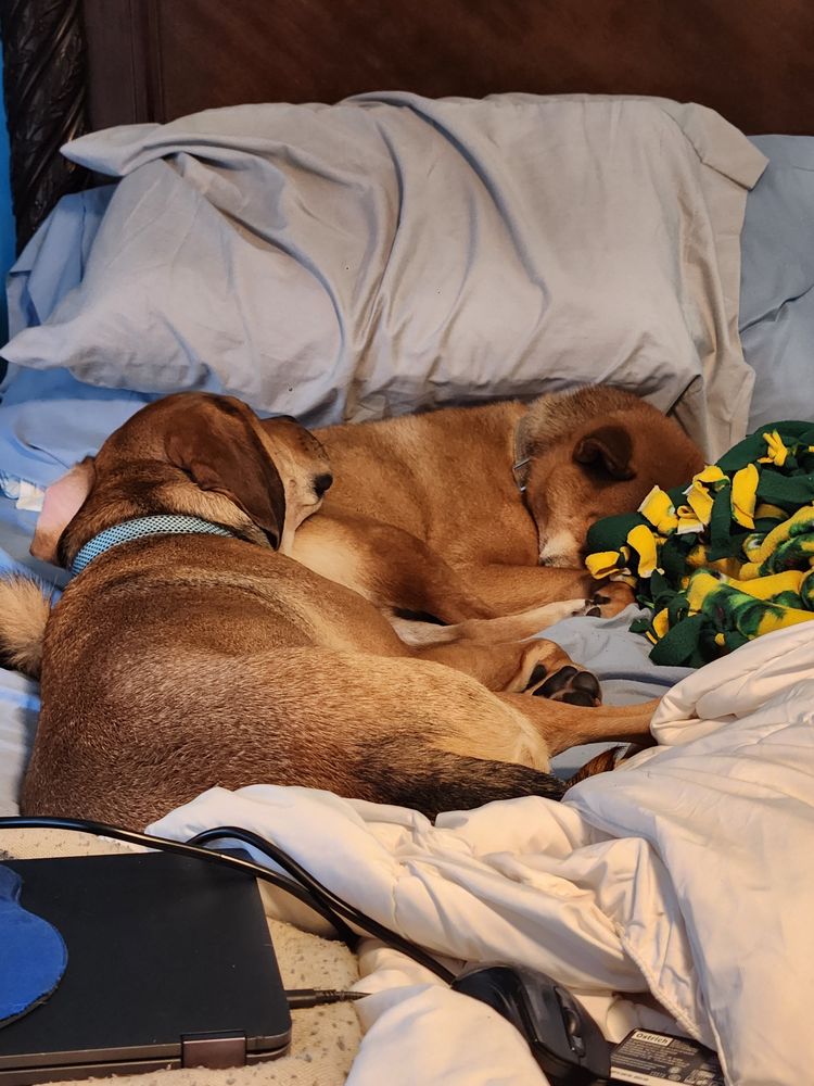 DOES YOUR ERRANDS 4 YOU Updated April 2024 11 Photos Myrtle Beach