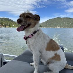 Pleasure Point Marina