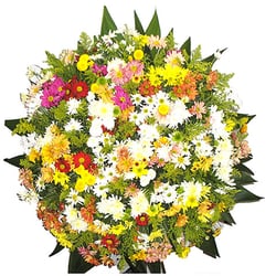 Flora Contagem