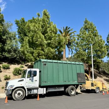 Domingo's Tree Care - Tree Services Near Me Domingo's Tree Care - Tree Services Near Me