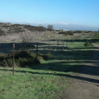 UC Irvine Ecological Preserve - Parks Near Me - Irvine, California