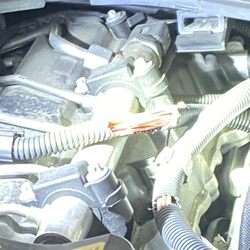Why Go To the Dealer - Wires eaten by rodent.