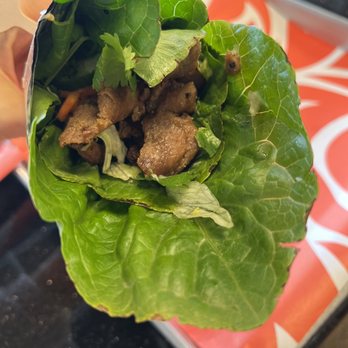 Roostar Vietnamese Grill - Grilled Pork Banh Mi protein style - Vietnamese Near Me - Houston, Texas