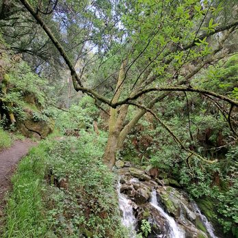 Steep Ravine Trail - Hiking Near Me